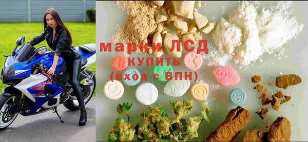 соль ск Заводоуковск