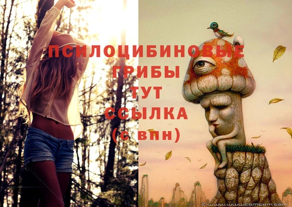соль ск Заводоуковск