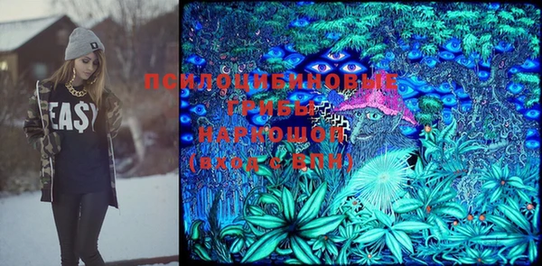 PSILOCYBIN Зеленодольск