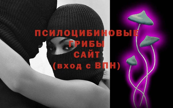 СК Зерноград
