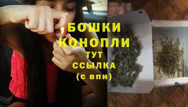 соль ск Заводоуковск
