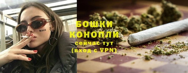 PSILOCYBIN Зеленодольск